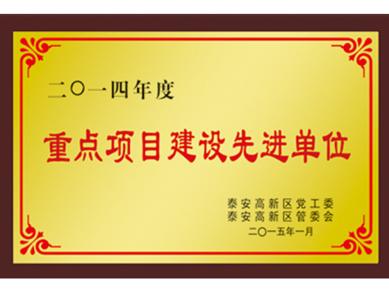 重點(diǎn)項(xiàng)目建設(shè)先進(jìn)單位