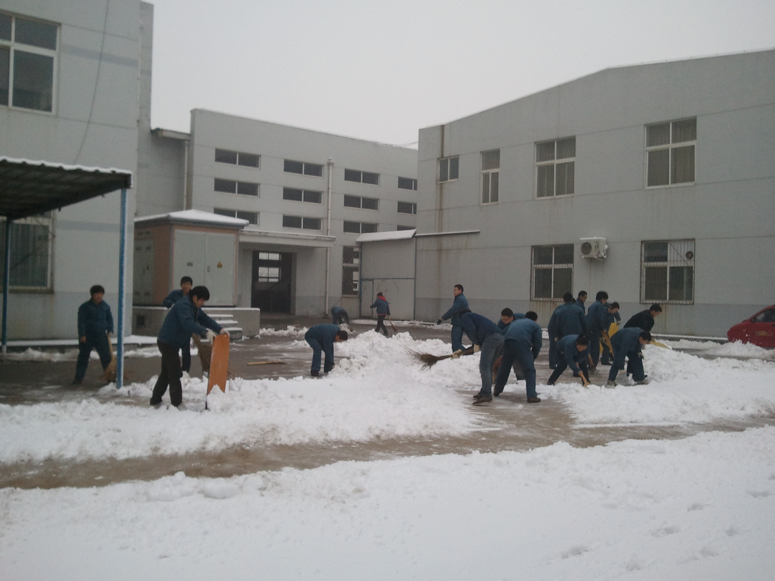 公司員工主動(dòng)清掃積雪 公司員工主動(dòng)清掃積雪