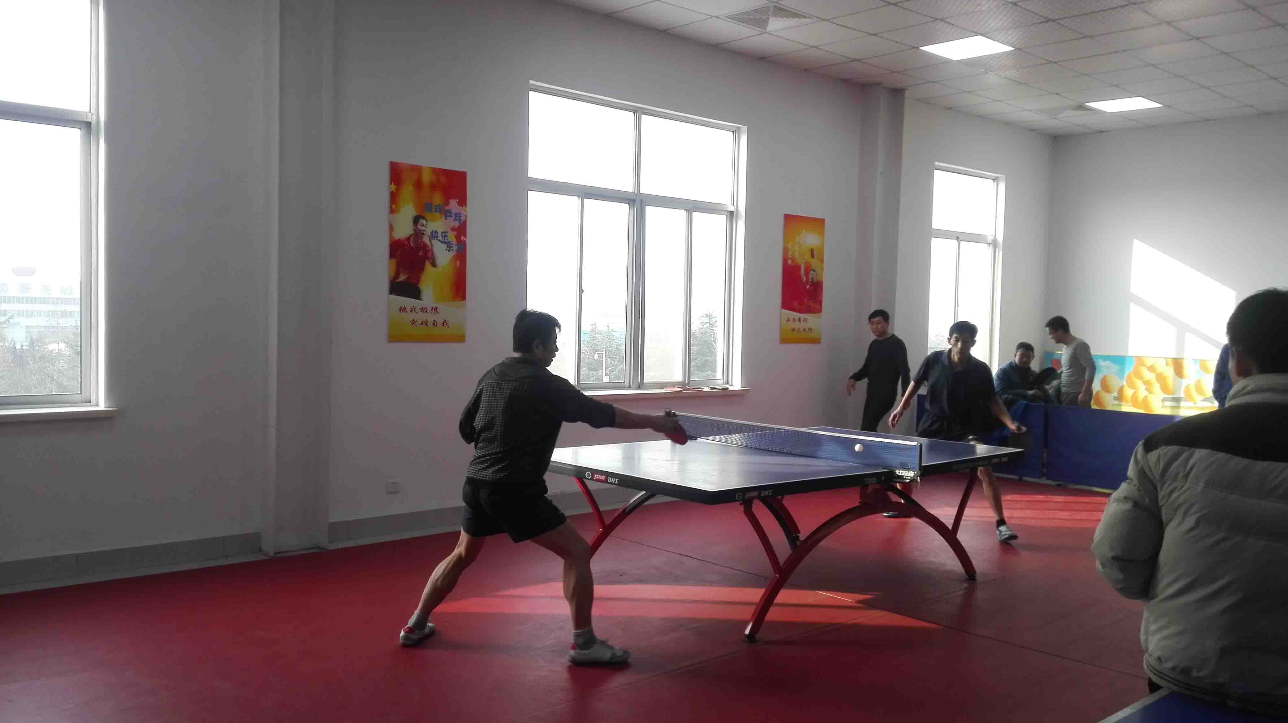 公司組織開展迎新春體育活動 公司組織開展迎新春體育活動